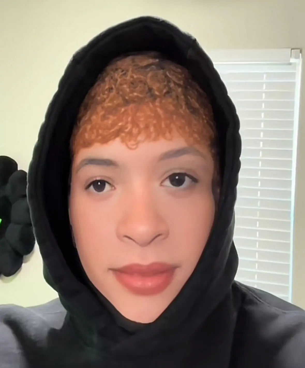Ice Spice Shiesty - TheShiesty