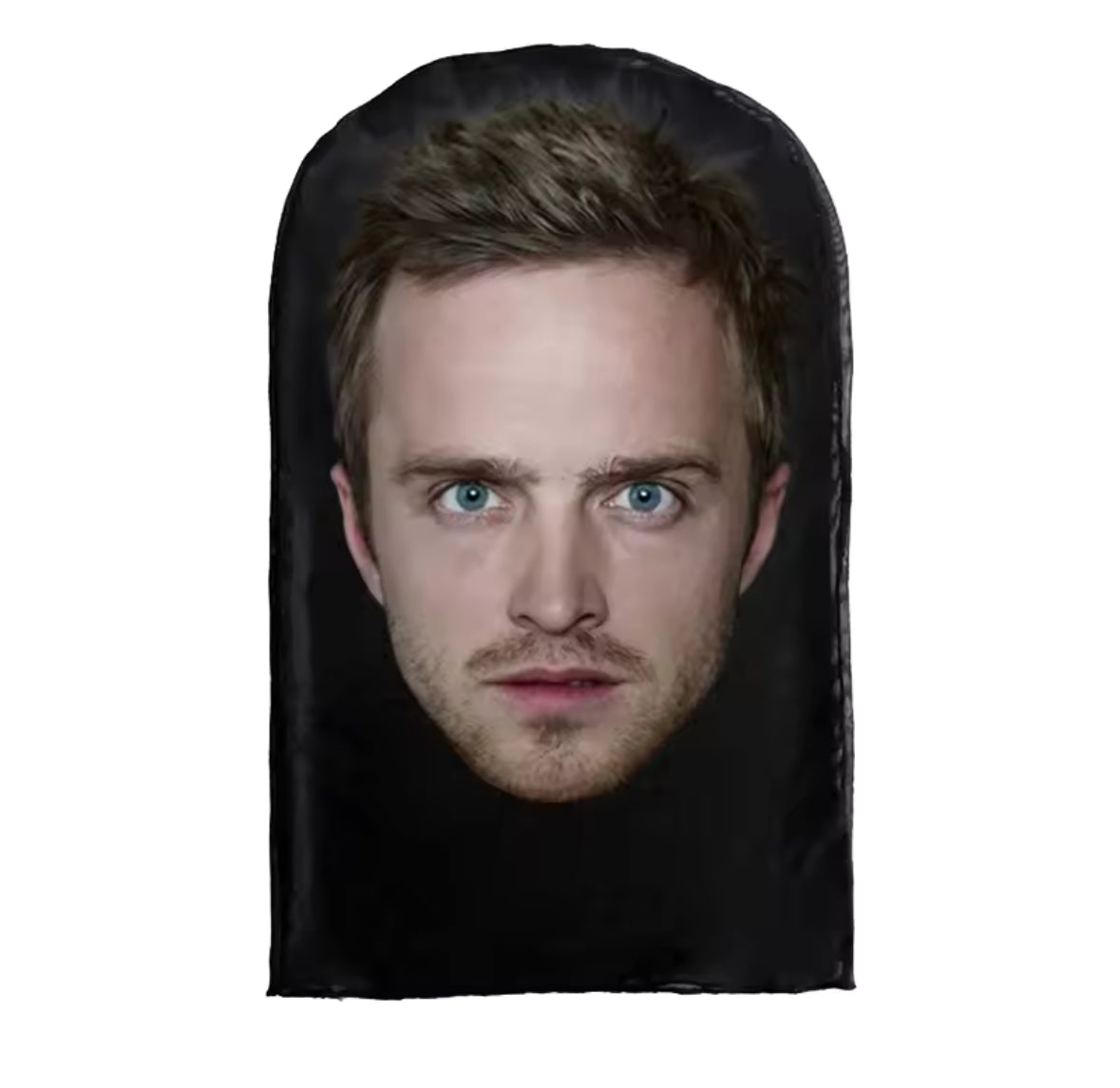 Jesse Pinkman Shiesty - TheShiesty